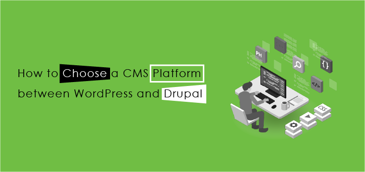 Which CMS Platform Should You Choose - WordPress or Drupal?
