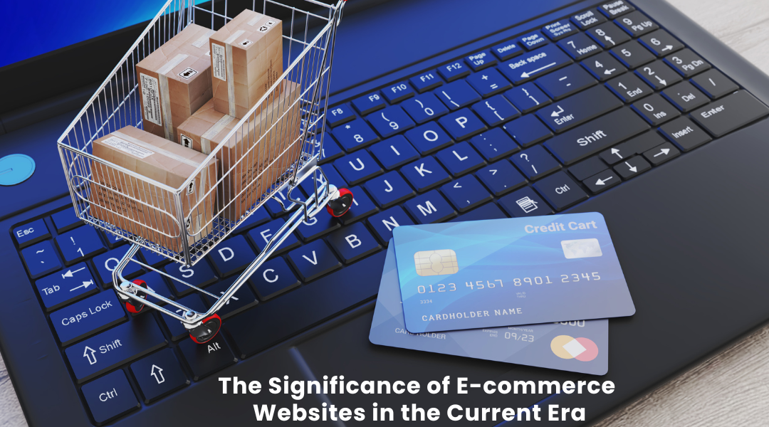 What is the Significance of E-Commerce Websites in the Current Era?